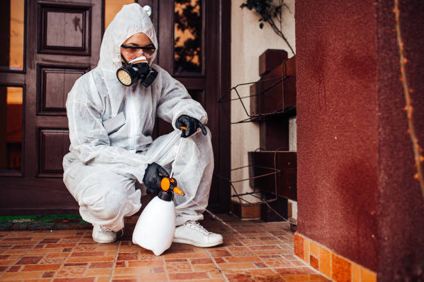 Reliable Wasp Removal contractor in Texarkana, TX by Show Me Pest Control